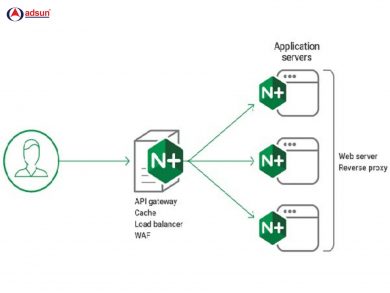 Nginx